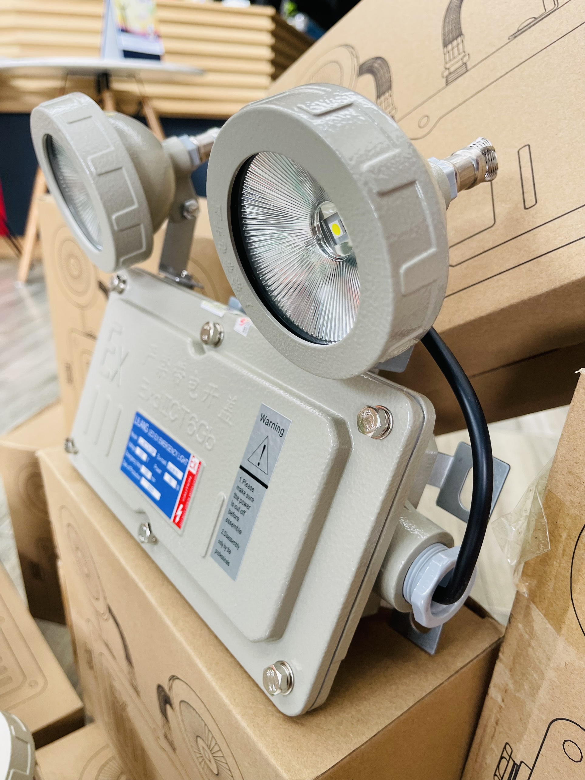 Đèn sự cố chống nổ Lilang LL-SCCN120P